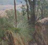 Mount Lawson State Park - Accommodation Whitsundays