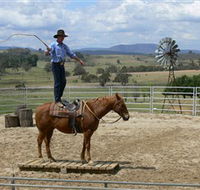 Boggy Creek Shows - Accommodation Whitsundays