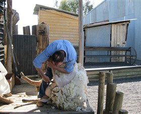 Boggy Creek Shows - Accommodation Whitsundays 4