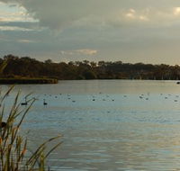 Lake Inverell Reserve - Accommodation Whitsundays