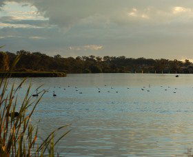 Lake Inverell Reserve - Accommodation Whitsundays 0
