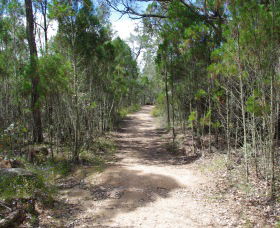 Goonoowigall State Conservation Area - Accommodation Whitsundays 1