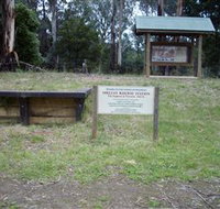 Shelley Forest Camp - Accommodation Whitsundays