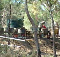 7 Oaks Sapphire Fossicking - Accommodation Whitsundays