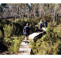 Hume and Hovell Walking Track - Henry Angel Trackhead - Accommodation Whitsundays