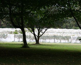 Staindl Wines - Accommodation Whitsundays 0