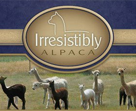 Marchmont Park Alpacas - Accommodation Whitsundays 0