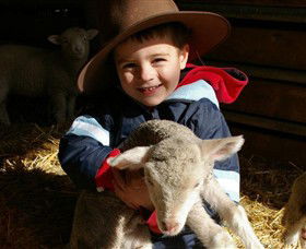 Warrook Farm - Accommodation Whitsundays 1