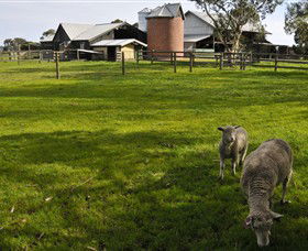 Warrook Farm - Accommodation Whitsundays 4