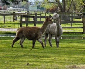 Warrook Farm - Accommodation Whitsundays 6