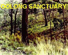 Oolong Sanctuary - Accommodation Whitsundays 0