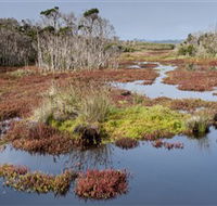 French Island National Park - Accommodation Whitsundays
