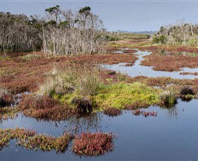 French Island National Park - Accommodation Whitsundays 0