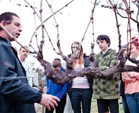 Varias Restaurant And Conference Centre Incorporating Banca Ridge Winery Cellar Door - Accommodation Whitsundays 3