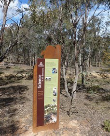 Mulligans Flat - Accommodation Whitsundays 1