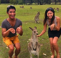 Runaway Tours - Accommodation Whitsundays
