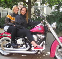 Wild Ride Harley and Motorcycle Tours - Accommodation Whitsundays