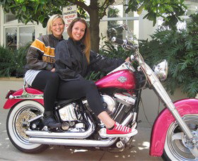 Wild Ride Harley And Motorcycle Tours - Accommodation Whitsundays 0