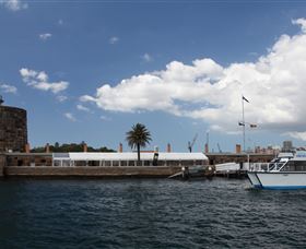 H2O Maxi Taxis - Accommodation Whitsundays 0