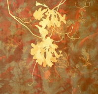 Fellia Melas Gallery - Accommodation Whitsundays