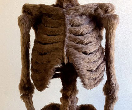 Galleryeight - Accommodation Whitsundays 2