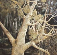 Ku-Ring-Gai Art Centre  Gallery - Accommodation Whitsundays
