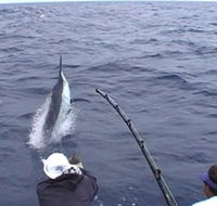 Amokura Charters - Accommodation Whitsundays