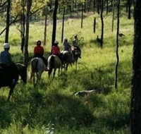 Hunter Valley Horse Riding and Adventures - Accommodation Whitsundays