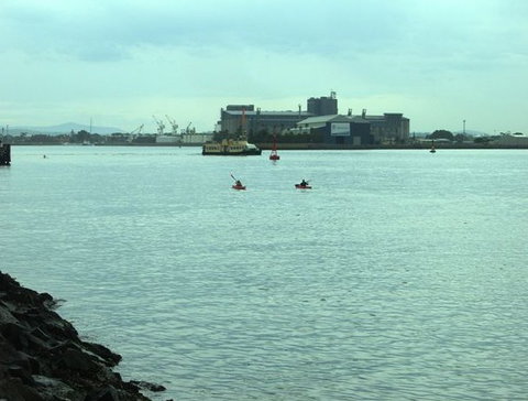 Newcastle Kayak Tours - Accommodation Whitsundays 5