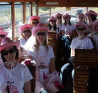 Newcastles Famous Tram - Accommodation Whitsundays