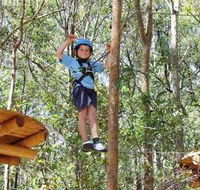 TreeTops Newcastle - Accommodation Whitsundays