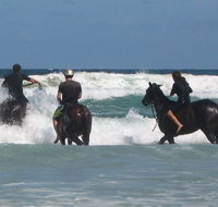 Pegasus Park Equestrian Centre - Accommodation Whitsundays