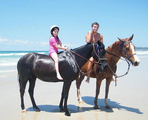 Pegasus Park Equestrian Centre - Accommodation Whitsundays 1