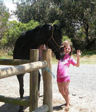 Pegasus Park Equestrian Centre - Accommodation Whitsundays 3