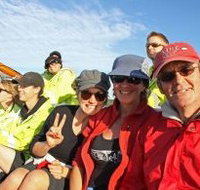 Byron Bay Whale Watching - Accommodation Whitsundays