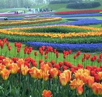 Botanica World Discoveries - Accommodation Whitsundays