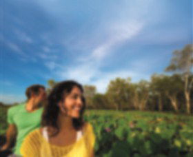 AAT Kings Guided Tours (Top End) - Accommodation Whitsundays 3
