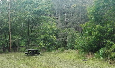 Halfway Point Picnic Area - Accommodation Whitsundays 0