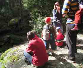 Boronia Tours - Accommodation Whitsundays 2