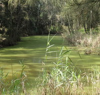 Second Ponds Creek walk - Accommodation Whitsundays