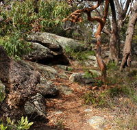 Box Head track - Accommodation Whitsundays