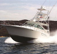 1300 Big Fish - Accommodation Whitsundays