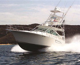 1300 Big Fish - Accommodation Whitsundays 0