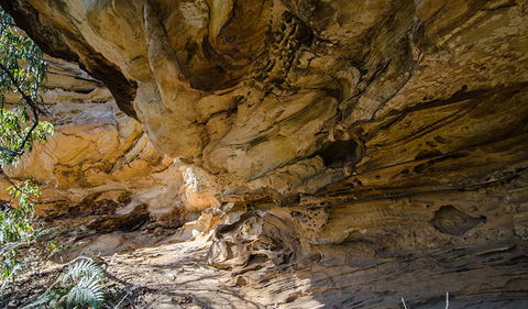 Marramarra National Park - Accommodation Whitsundays 0