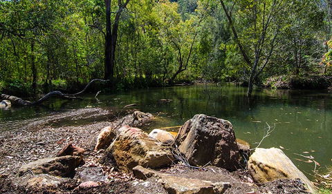 Marramarra National Park - Accommodation Whitsundays 3