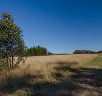 Scheyville horse riding trails - Accommodation Whitsundays