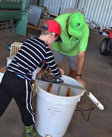 Canoelands Orchard - Accommodation Whitsundays 2