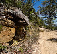 Canoelands Ridge walking track - Accommodation Whitsundays