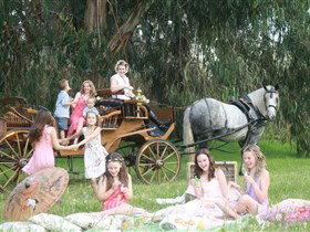 Classic Carriage Drives - Accommodation Whitsundays 1