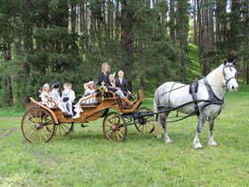 Classic Carriage Drives - Accommodation Whitsundays 0